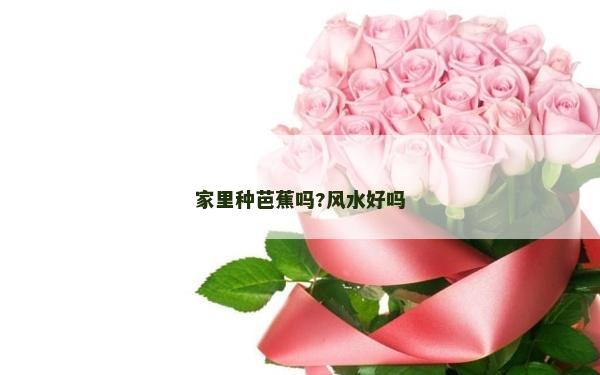 家里种芭蕉吗?风水好吗
