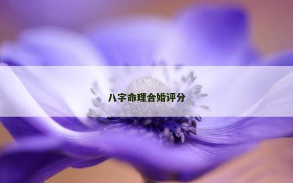 八字命理合婚评分