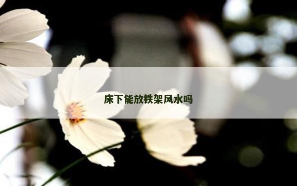 床下能放铁架风水吗