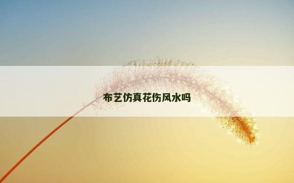 布艺仿真花伤风水吗