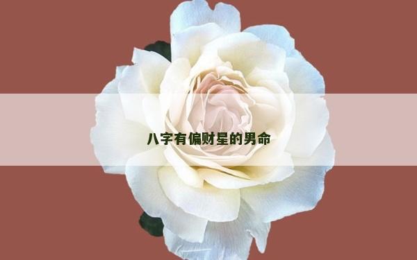 八字有偏财星的男命
