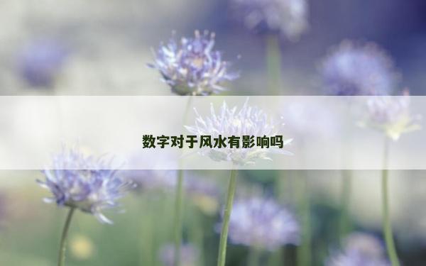 数字对于风水有影响吗