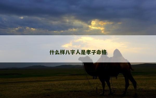 什么样八字人是孝子命格