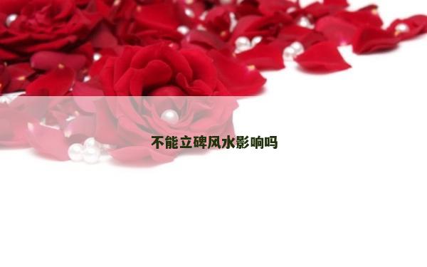 不能立碑风水影响吗