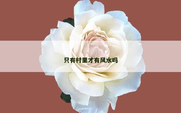 只有村里才有风水吗