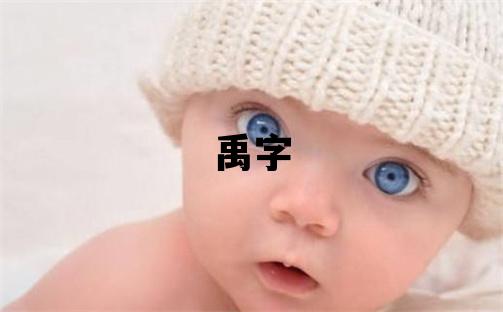禹字取名的寓意 禹字取名的寓意男孩