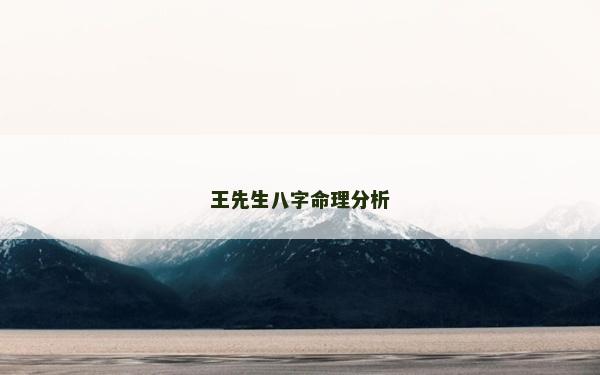 王先生八字命理分析