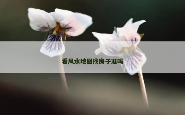 看风水地图找房子准吗