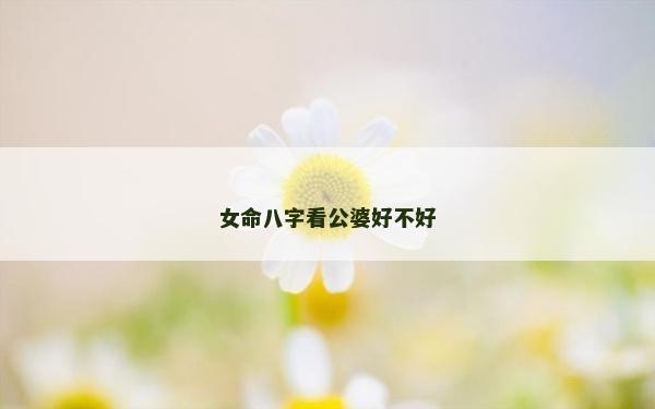 女命八字看公婆好不好