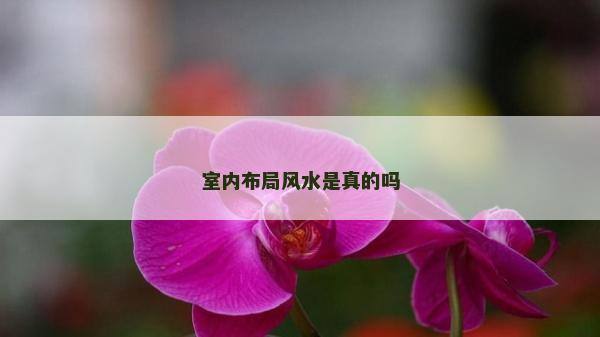 室内布局风水是真的吗
