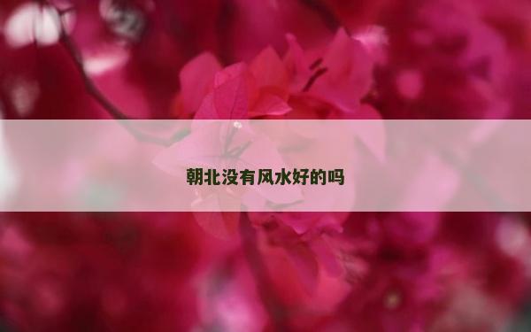 朝北没有风水好的吗