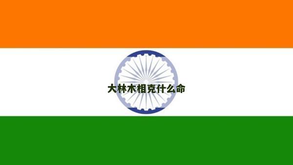 大林木相克什么命