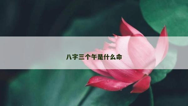 八字三个午是什么命