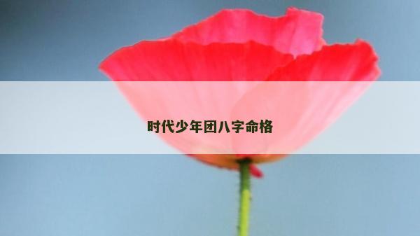 时代少年团八字命格