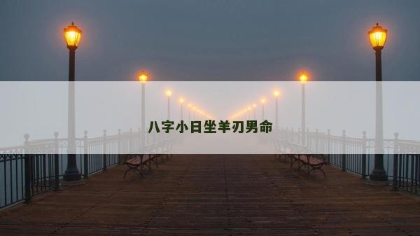 八字小日坐羊刃男命