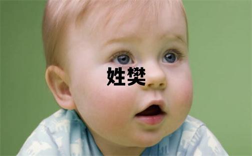 姓樊叫什么名字好 姓樊的男孩吉利的名字