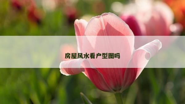 房屋风水看户型图吗