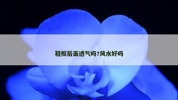 鞋柜后面透气吗?风水好吗