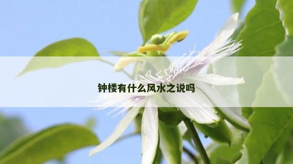 钟楼有什么风水之说吗