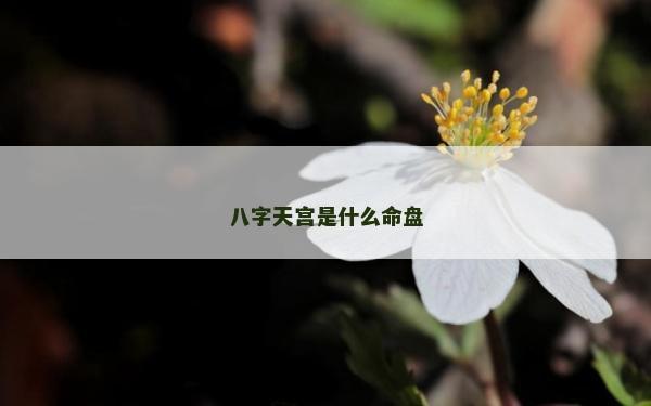 八字天宫是什么命盘