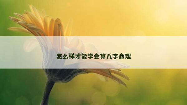 怎么样才能学会算八字命理