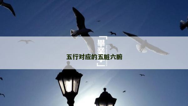 五行对应的五脏六腑