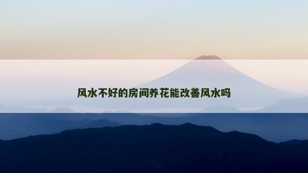 风水不好的房间养花能改善风水吗
