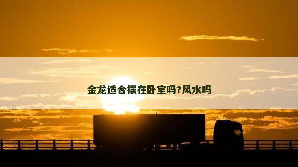 金龙适合摆在卧室吗?风水吗