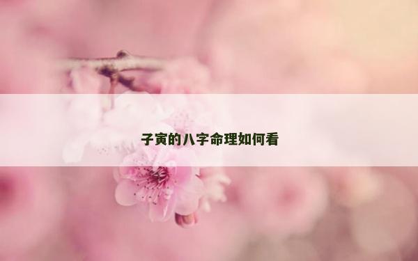 子寅的八字命理如何看
