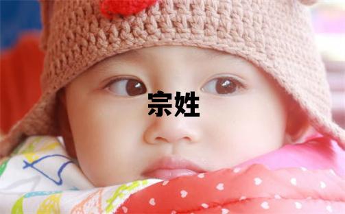 宗姓优美的女孩名字