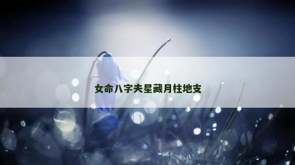 女命八字夫星藏月柱地支