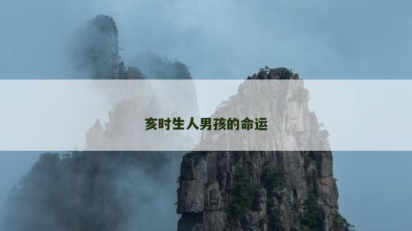 亥时生人男孩的命运