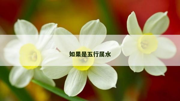 如果是五行属水