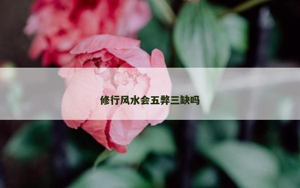 修行风水会五弊三缺吗