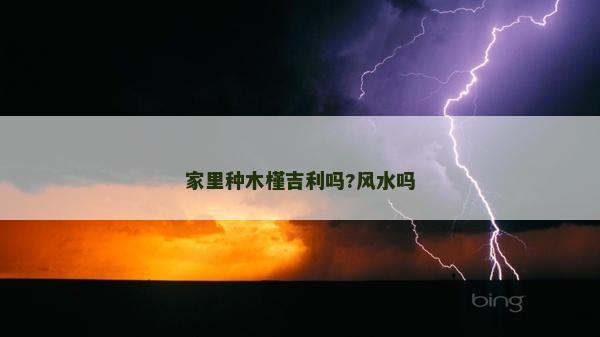 家里种木槿吉利吗?风水吗