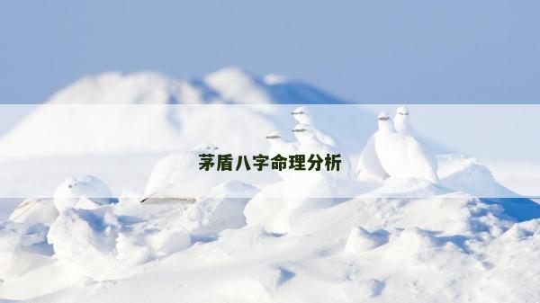 茅盾八字命理分析