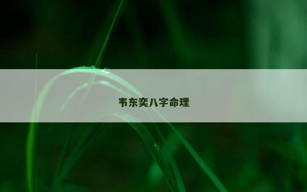 韦东奕八字命理