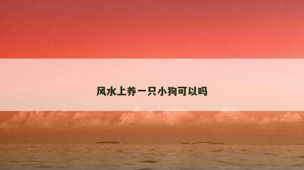 风水上养一只小狗可以吗