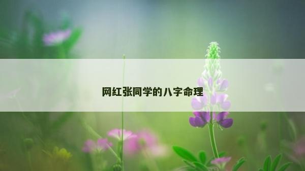 网红张同学的八字命理