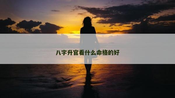 八字升官看什么命格的好