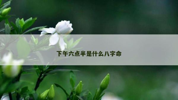下午六点半是什么八字命