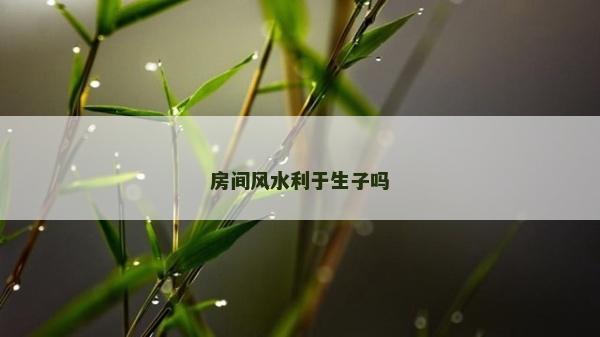房间风水利于生子吗
