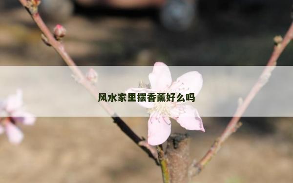 风水家里摆香薰好么吗