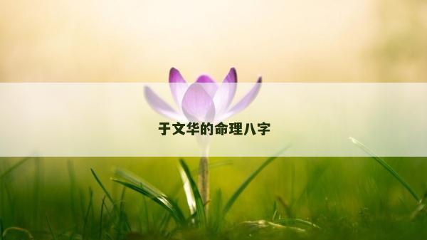 于文华的命理八字