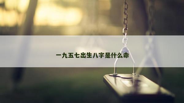 一九五七出生八字是什么命