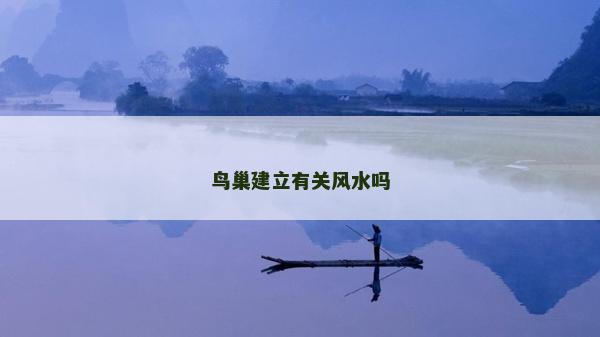 鸟巢建立有关风水吗