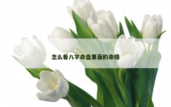 怎么看八字命盘里面的命格