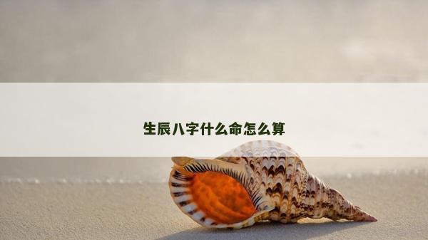 生辰八字什么命怎么算
