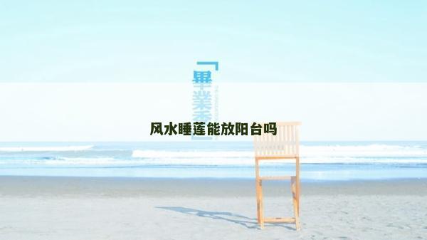 风水睡莲能放阳台吗
