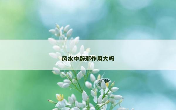 风水中辟邪作用大吗
